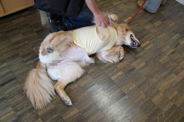 ファイル 2383-2.jpg