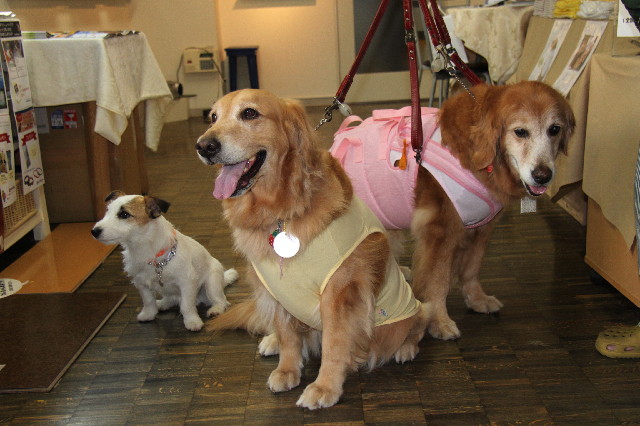 ファイル 2383-3.jpg