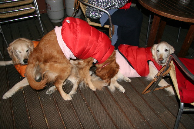 ファイル 2384-2.jpg