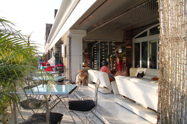 ファイル 2384-3.jpg