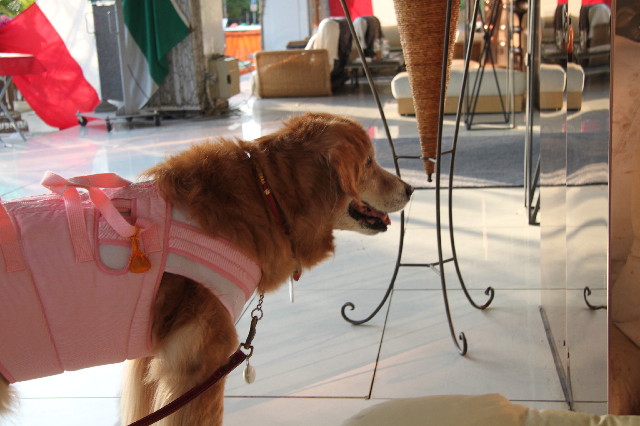 ファイル 2384-4.jpg