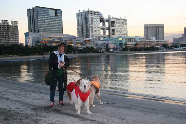 ファイル 2387-1.jpg