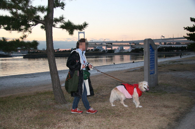 ファイル 2387-2.jpg