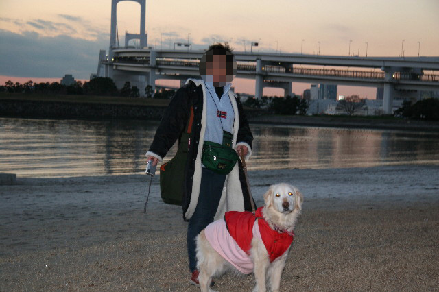 ファイル 2387-3.jpg