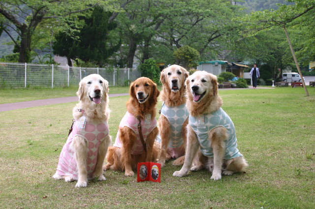 ファイル 2388-3.jpg