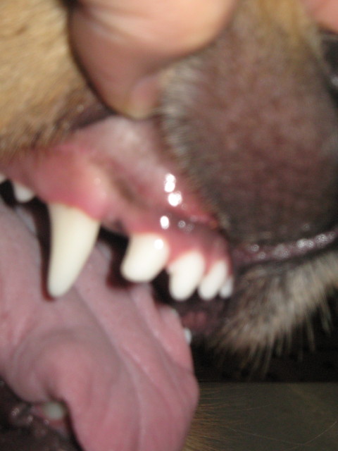 ファイル 239-1.jpg