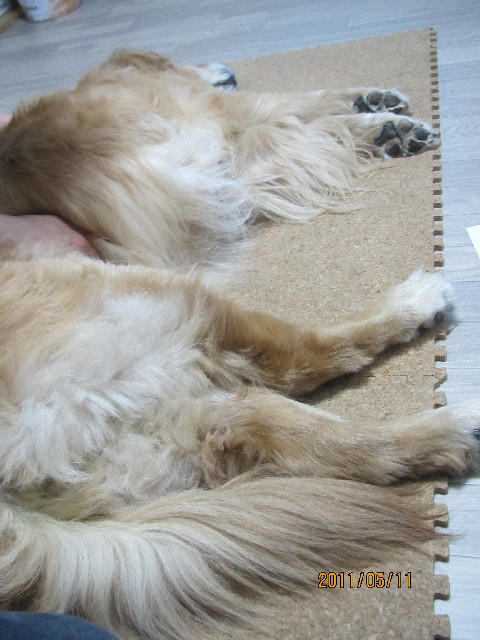 ファイル 2392-4.jpg