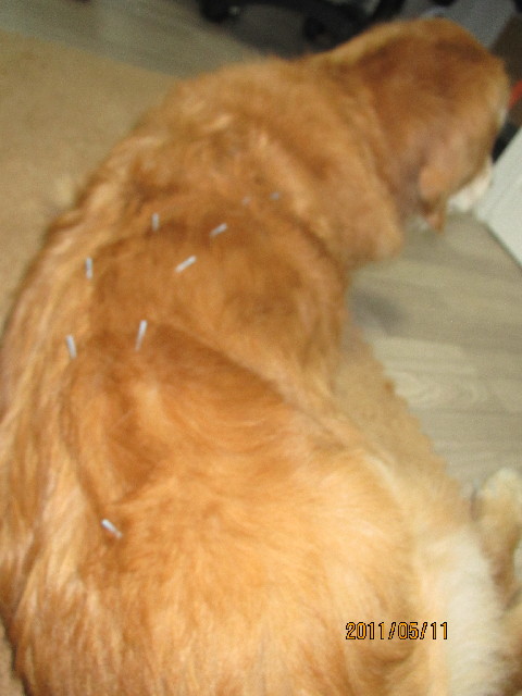 ファイル 2392-5.jpg