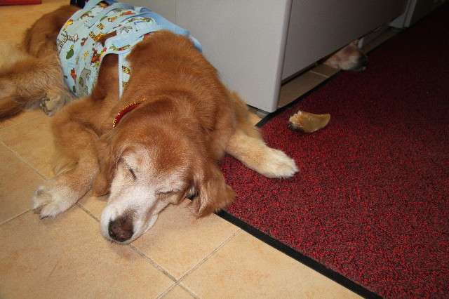 ファイル 2395-4.jpg