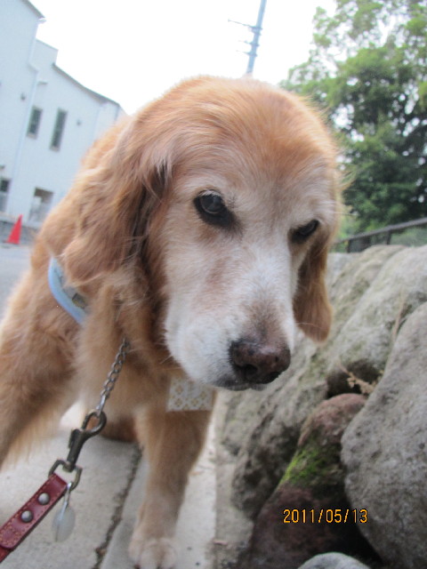 ファイル 2398-3.jpg