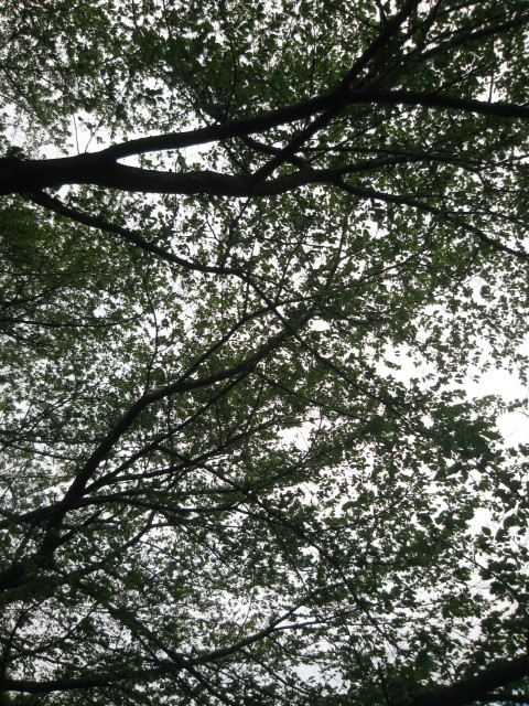 ファイル 240-3.jpg