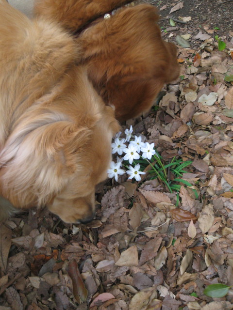 ファイル 240-4.jpg