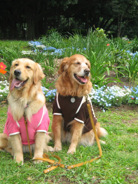 ファイル 240-5.jpg