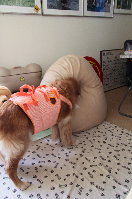 ファイル 2400-1.jpg