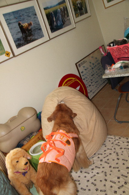 ファイル 2400-2.jpg