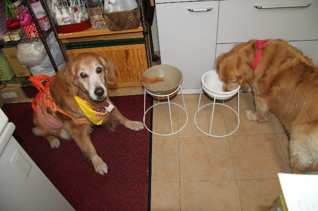 ファイル 2400-3.jpg