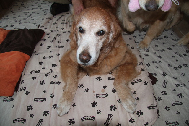 ファイル 2400-5.jpg