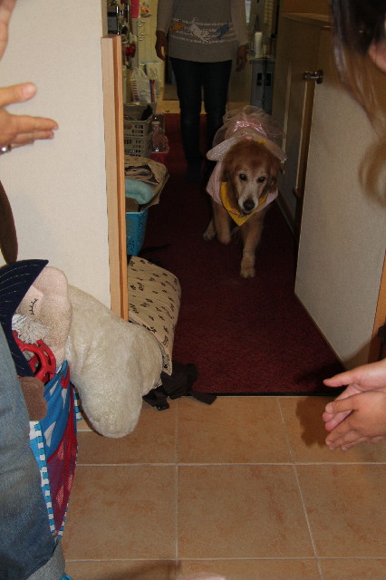 ファイル 2402-1.jpg