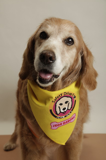 ファイル 2403-1.jpg