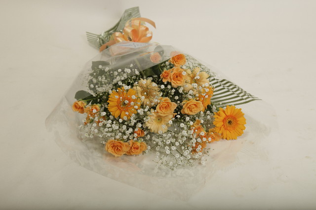 ファイル 2404-1.jpg