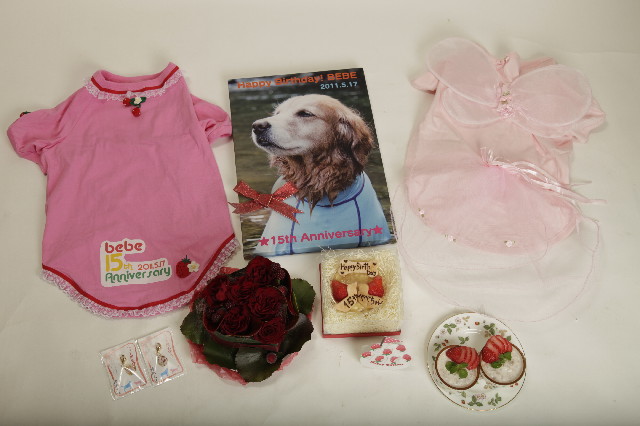 ファイル 2404-4.jpg