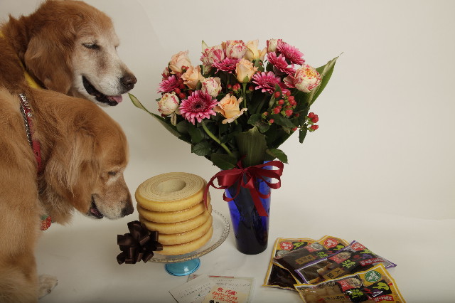 ファイル 2406-2.jpg