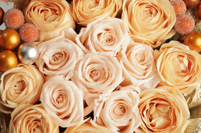 ファイル 2407-1.jpg