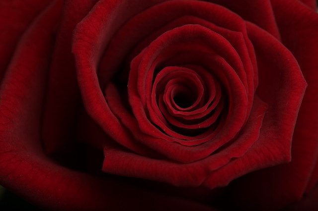 ファイル 2407-4.jpg