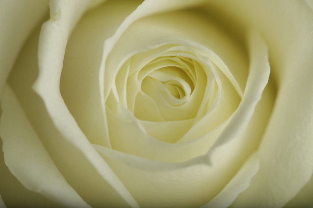 ファイル 2407-5.jpg