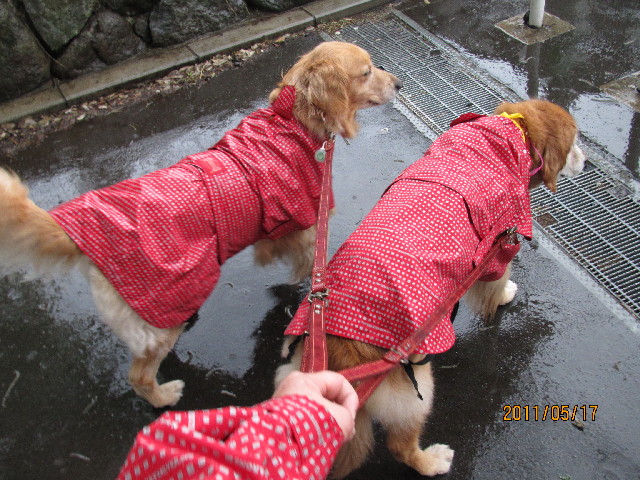 ファイル 2408-1.jpg