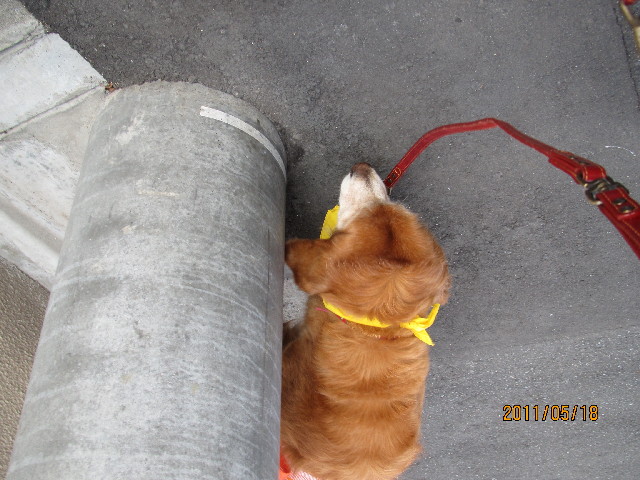 ファイル 2408-2.jpg