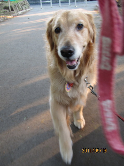 ファイル 2408-5.jpg