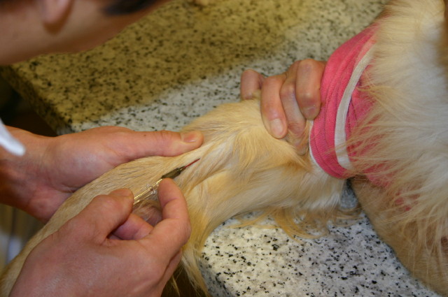 ファイル 241-1.jpg