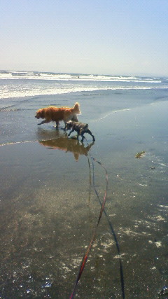 ファイル 2410-4.jpg