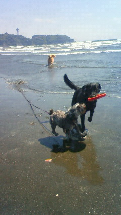 ファイル 2410-5.jpg