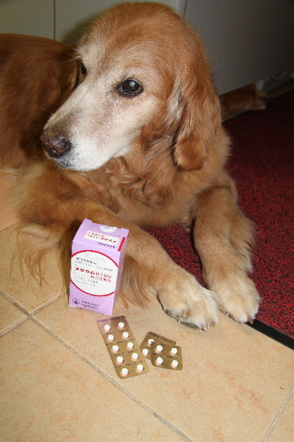 ファイル 2412-5.jpg