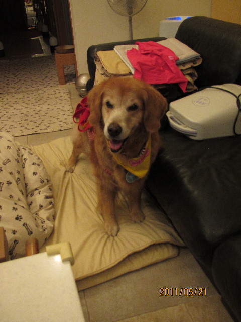 ファイル 2414-2.jpg