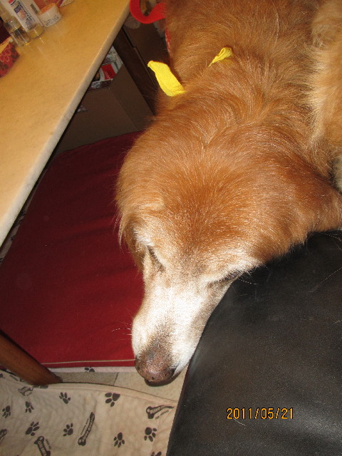 ファイル 2414-3.jpg