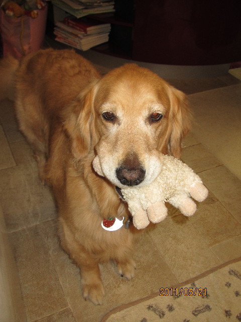 ファイル 2414-4.jpg