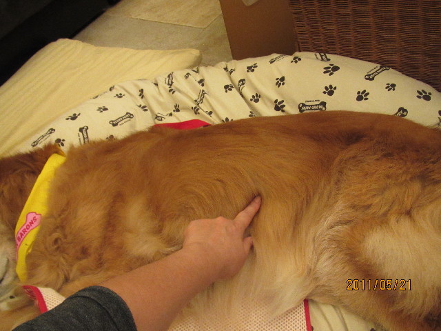 ファイル 2414-5.jpg