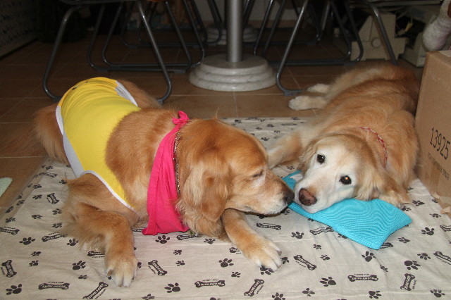 ファイル 2415-3.jpg