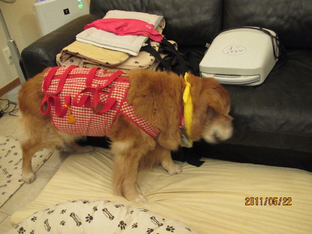 ファイル 2416-4.jpg