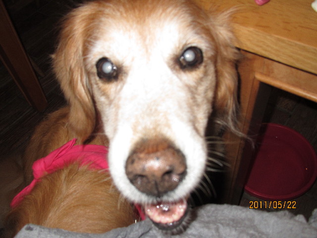 ファイル 2417-1.jpg