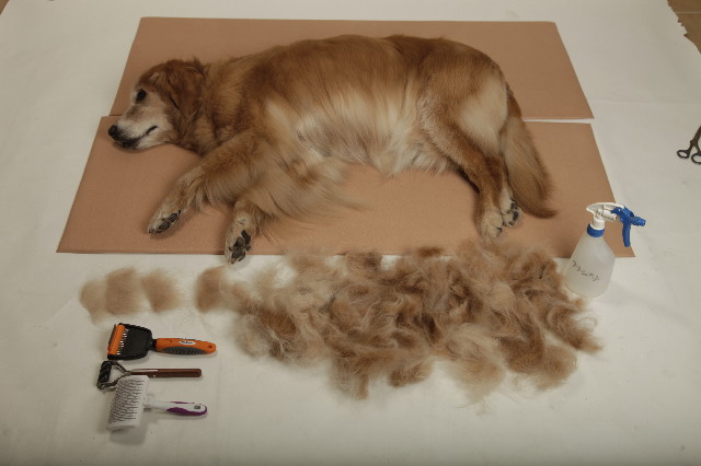 ファイル 2419-1.jpg