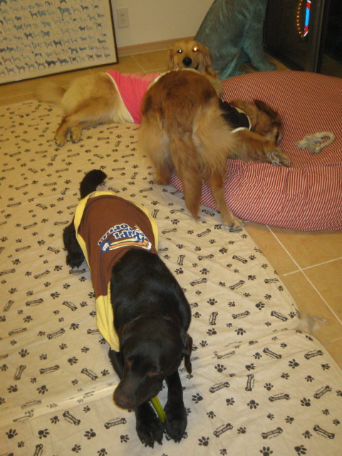 ファイル 242-1.jpg