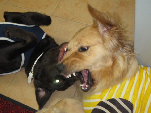 ファイル 242-3.jpg