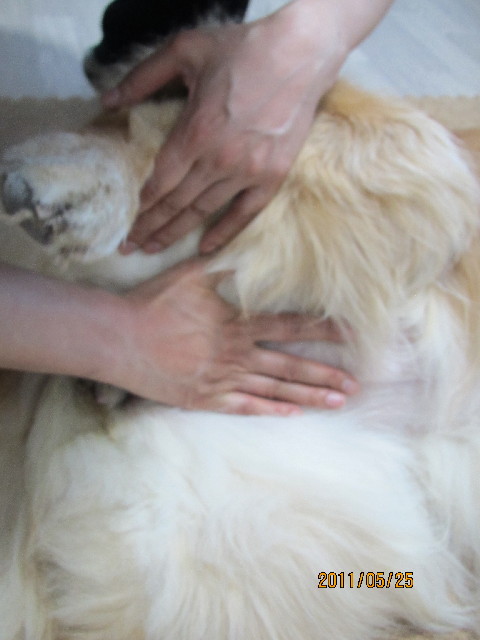 ファイル 2421-2.jpg