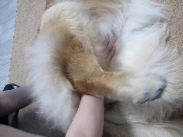 ファイル 2421-3.jpg