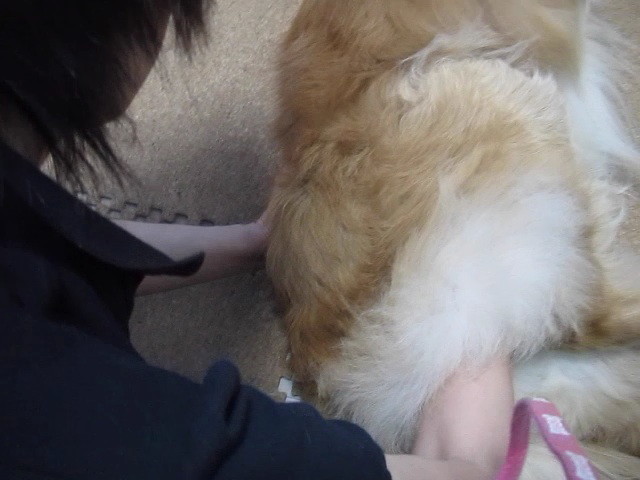 ファイル 2421-4.jpg