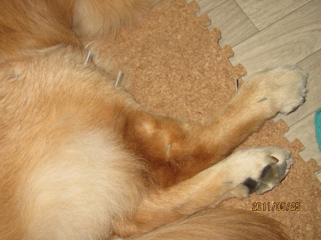 ファイル 2421-5.jpg